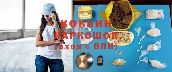 прущие грибы Гусиноозёрск