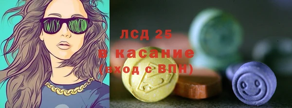 прущие грибы Гусиноозёрск