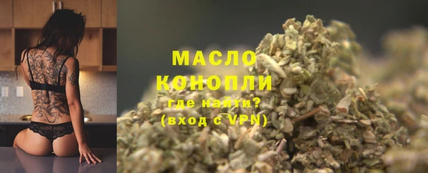 прущие грибы Гусиноозёрск