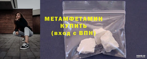 прущие грибы Гусиноозёрск