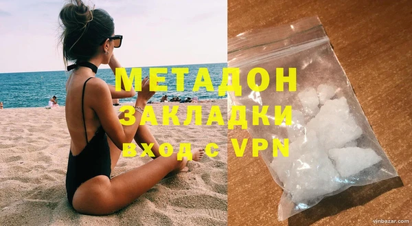 прущие грибы Гусиноозёрск