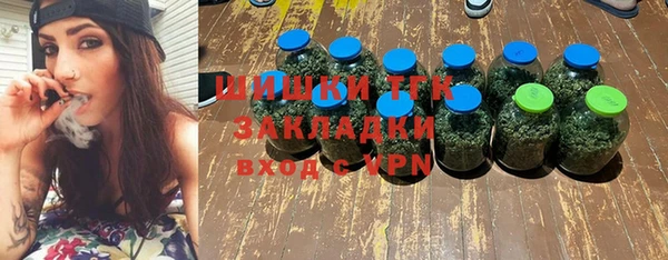 прущие грибы Гусиноозёрск