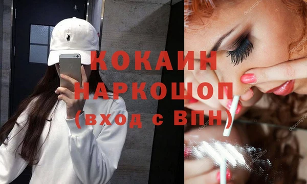 прущие грибы Гусиноозёрск