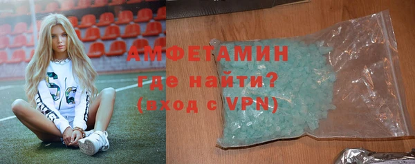 прущие грибы Гусиноозёрск