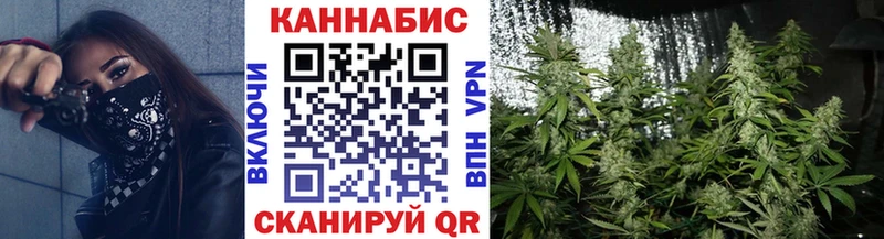 Шишки марихуана сатива Михайлов